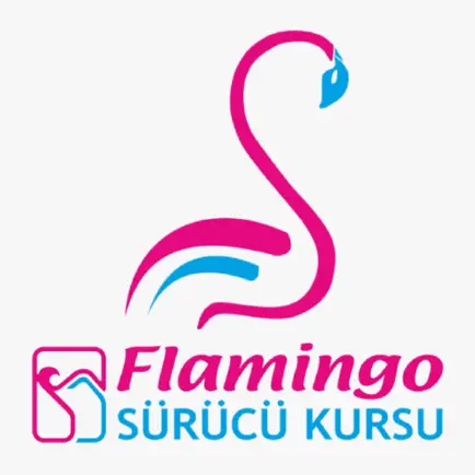 Flamingo Sürücü Kursu Cheats