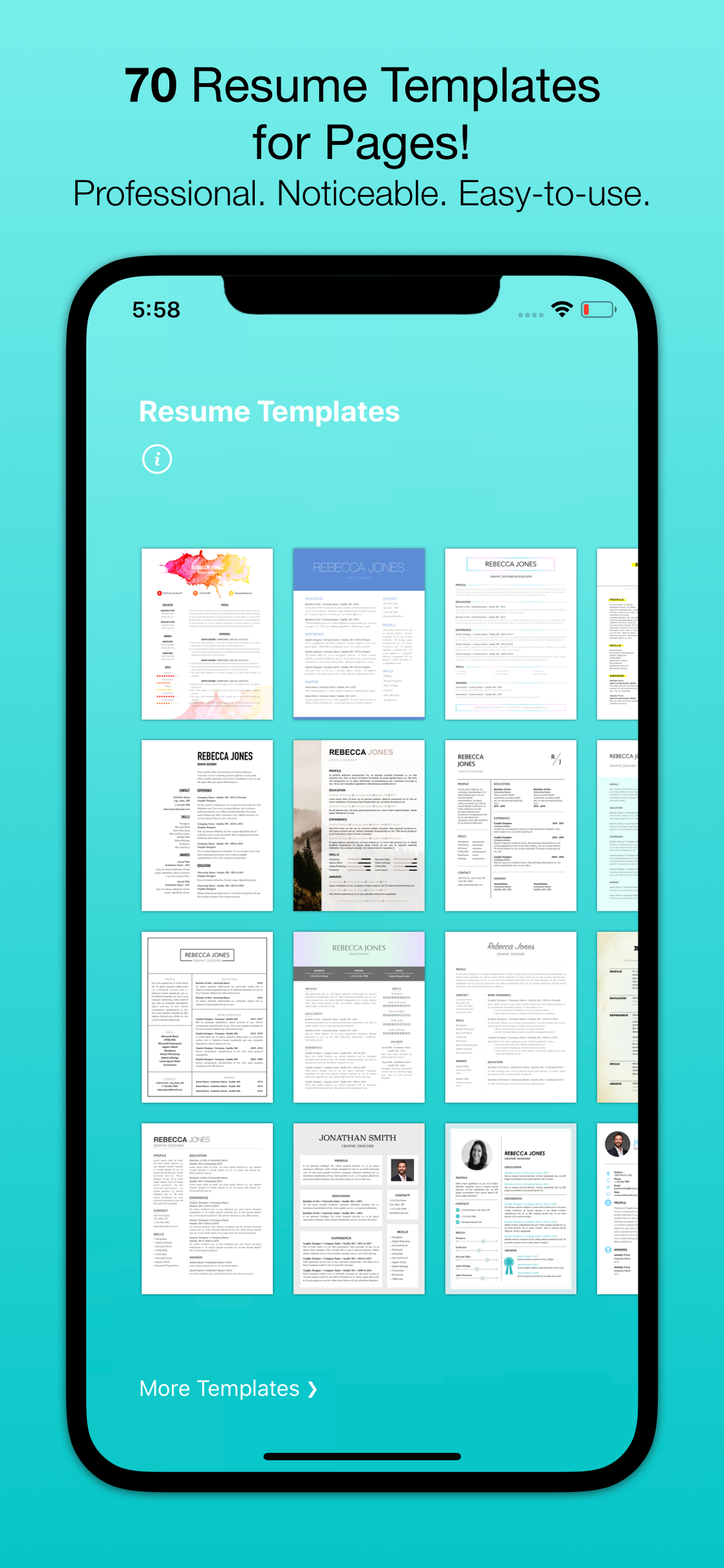 Resume Templates (for Pages)