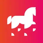 Leonardo Horse Project App Positive Reviews