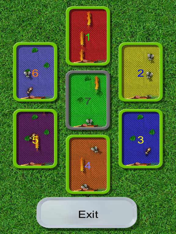 Ants, Flies, ... Picnic Bugs