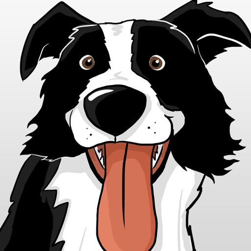 CollieMoji - Original Stickers Download