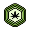 Pharmabis icon