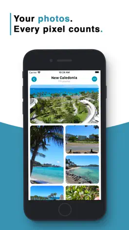Game screenshot Luggy - Travel journal hack