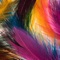 Wallpapers HD app