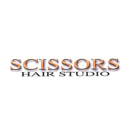 Scissors Hair Studio Читы