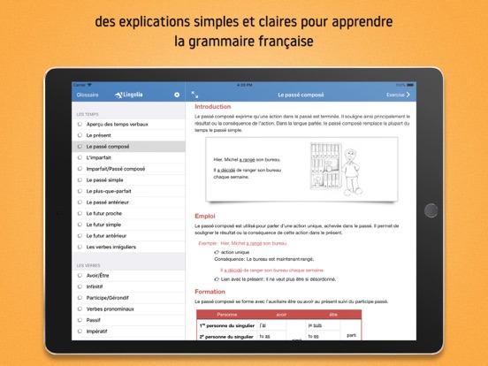 Screenshot #5 pour Lingolia grammaire française