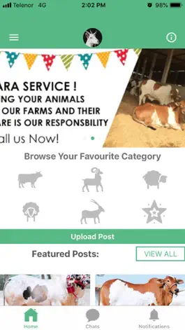Game screenshot Qurbani App mod apk
