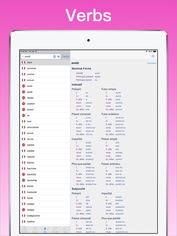 French Translator Dictionary + iPad screenshot 5 - Education app