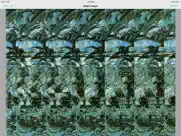 stereoimages iPad Captures Décran 1