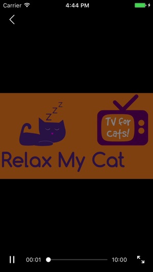 RelaxMyCat - Relaxing Music TV(圖4)-速報App