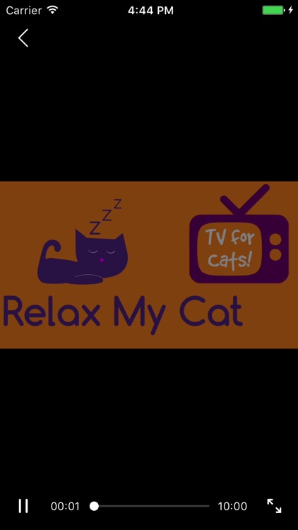 RelaxMyCat - Relaxing Music TV screenshot-3
