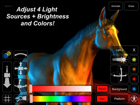 Horse Mannequin