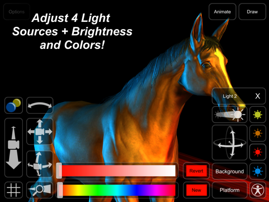 Horse Mannequin iPad screenshot 9 - Education app