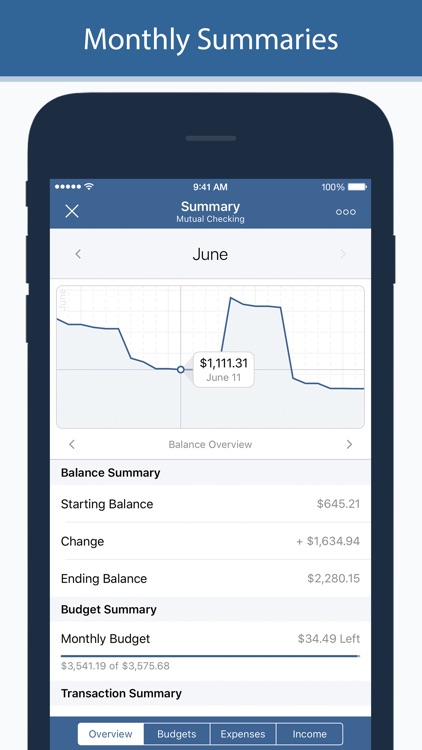Numero: Personal Finance screenshot-3
