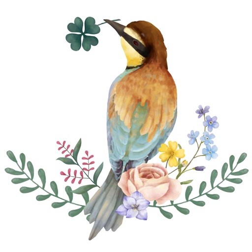 Birds Life Stickers! icon