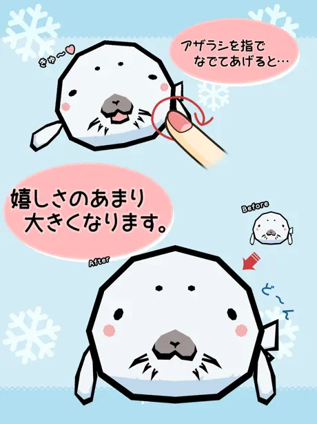 もふもふあざらし