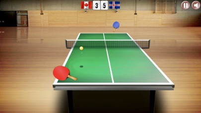 Table Tennis Virtual Ping Pongのおすすめ画像2