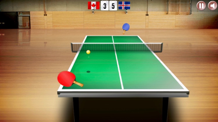 Table Tennis Virtual Ping Pong