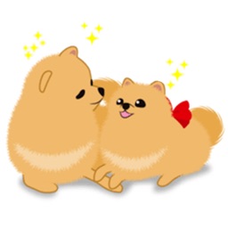 Mother And Daughter Pomeranian