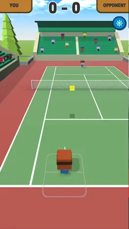 Game screenshot The Crazy Tennis apk