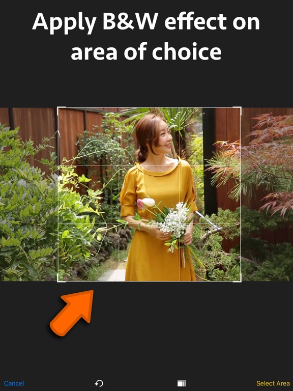 Screenshot #5 for B&W Video Maker