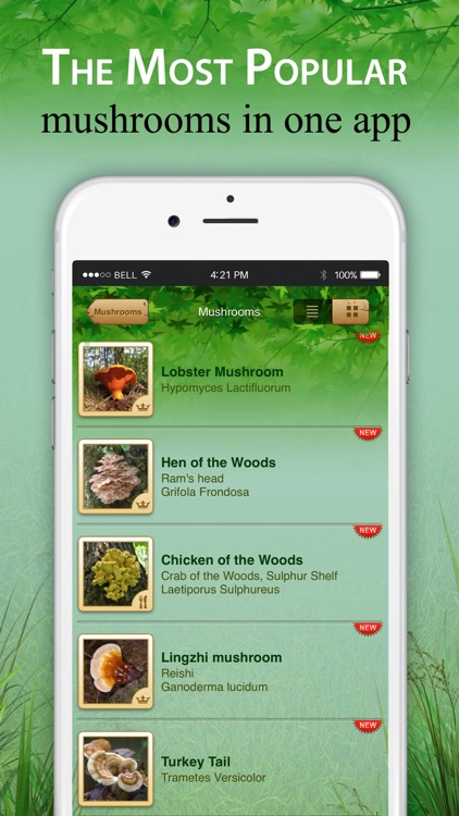 Mushroom Identification &Guide screenshot-5
