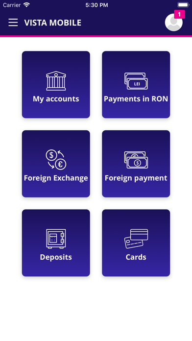 Vista Mobile Banking Screenshot