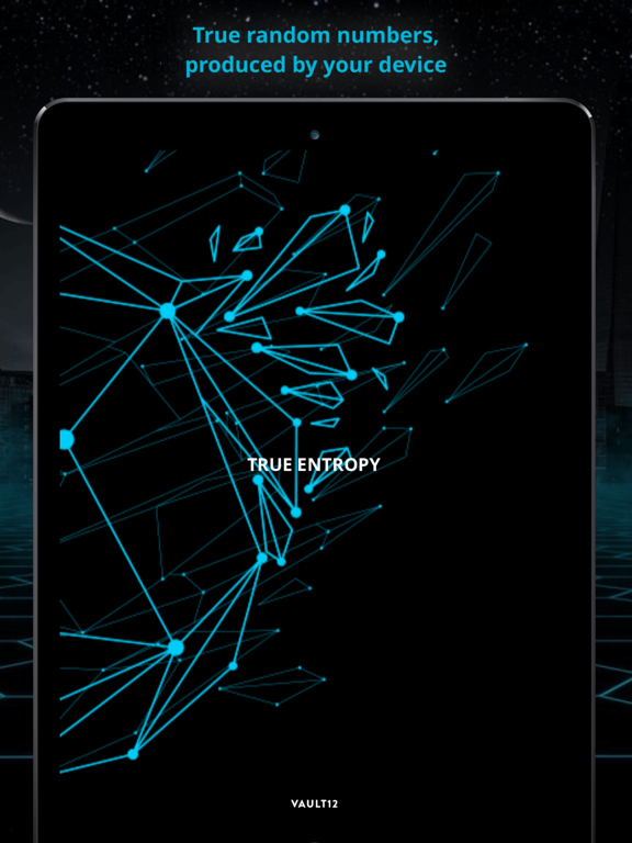 Screenshot #4 pour TrueEntropy