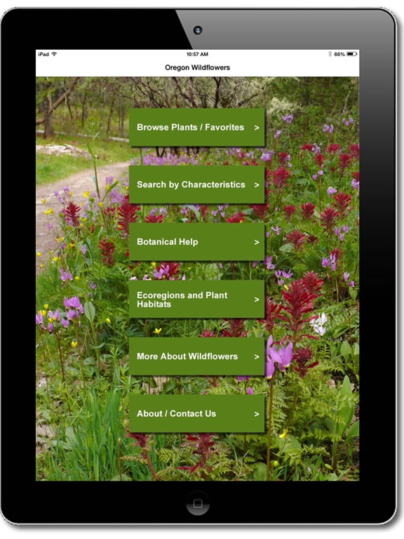 Oregon Wildflowers iPad screenshot 5 - Education app