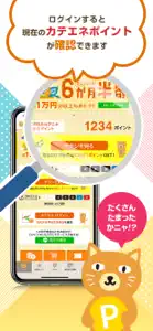 カテエネ×Shufoo！ screenshot #3 for iPhone