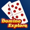Domino Explore icon