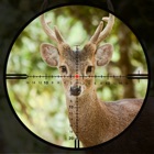 Top 26 Entertainment Apps Like Predator Calls - Hunter Calls - Best Alternatives