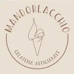 Mandorlacchio App Problems