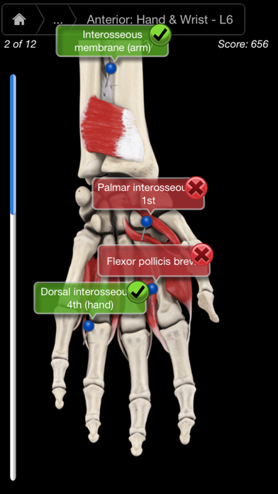 Muscle System Pro III - iPhoneのおすすめ画像5