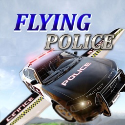 Flying City Police Car Chase