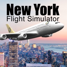 Activities of New York Flight Simulator