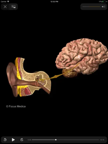 Otolaryngology