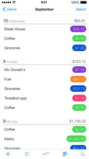finances 1 (old version) iphone screenshot 2
