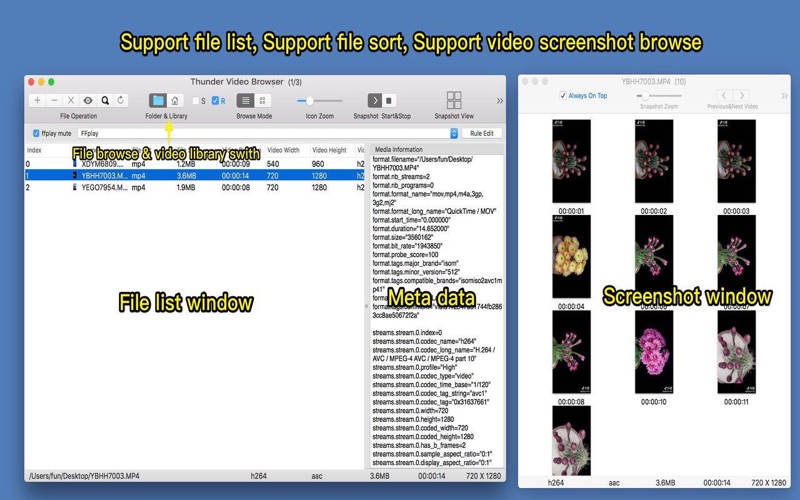 Screenshot #1 for Fast Video Browser