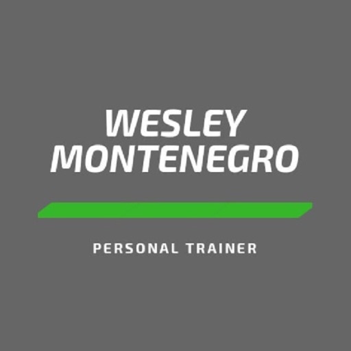 Wesley Montenegro icon