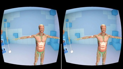 Irusu Human Anatomy Screenshot