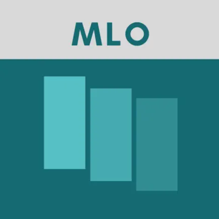 MLO Exam Flashcards Cheats