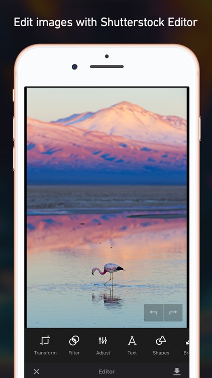 Shutterstock screenshot-4