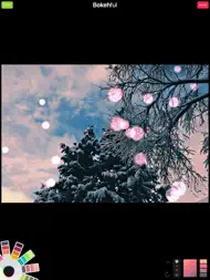 Bokehful - Bokeh light effects ipad bilder 2