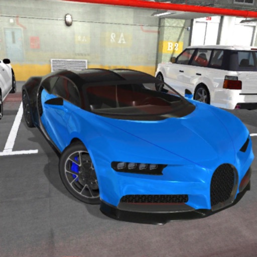 Real Car Parking 3D Icon