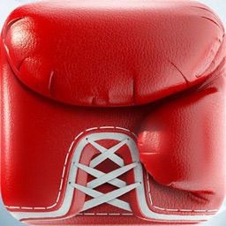 BRIT - Boxing Timer