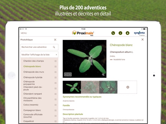Screenshot #6 pour Syngenta Proximaïs iTech