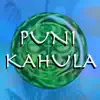 PUNI KAHULA problems & troubleshooting and solutions