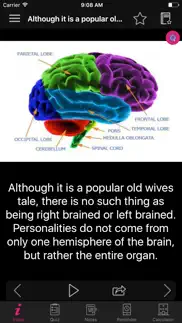 human brain facts & quiz 2000 iphone screenshot 2