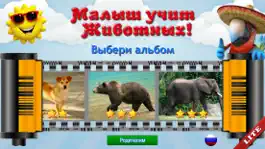 Game screenshot Животные для Малышей, детей 1+ mod apk